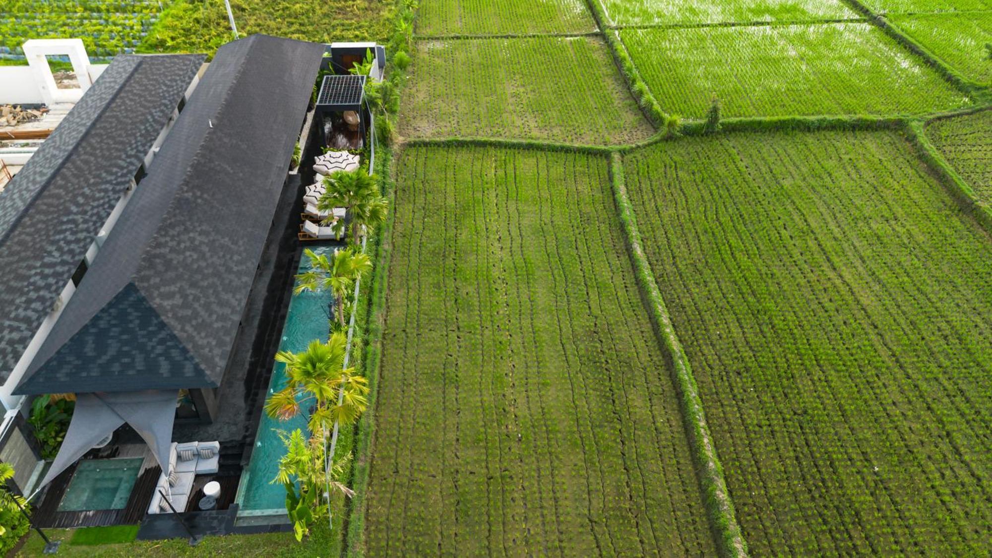 Villa Black Pearl By Balisuperhost Ubud  Exterior photo